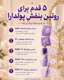 لیفتینگ Numbuzin مدل No.9+
